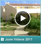 June Video 2011